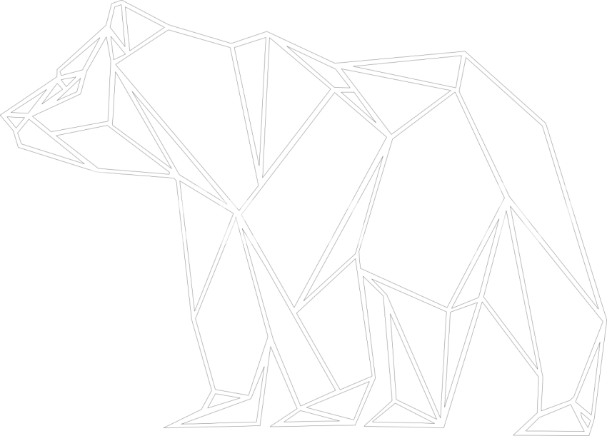 Geometrik Kutup Ayısı