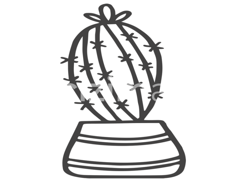 cicek-ve-kaktusler-(10)