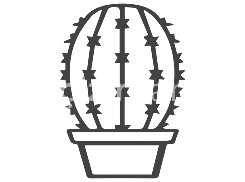 cicek-ve-kaktusler-(11)