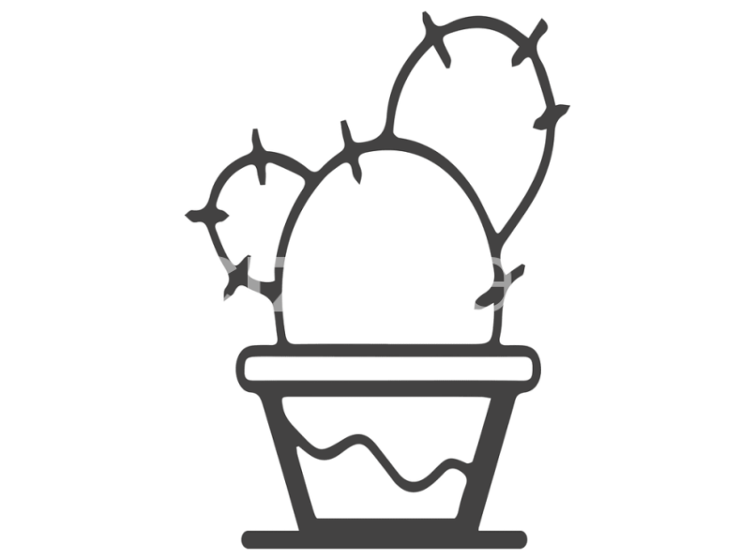 cicek-ve-kaktusler-(14)