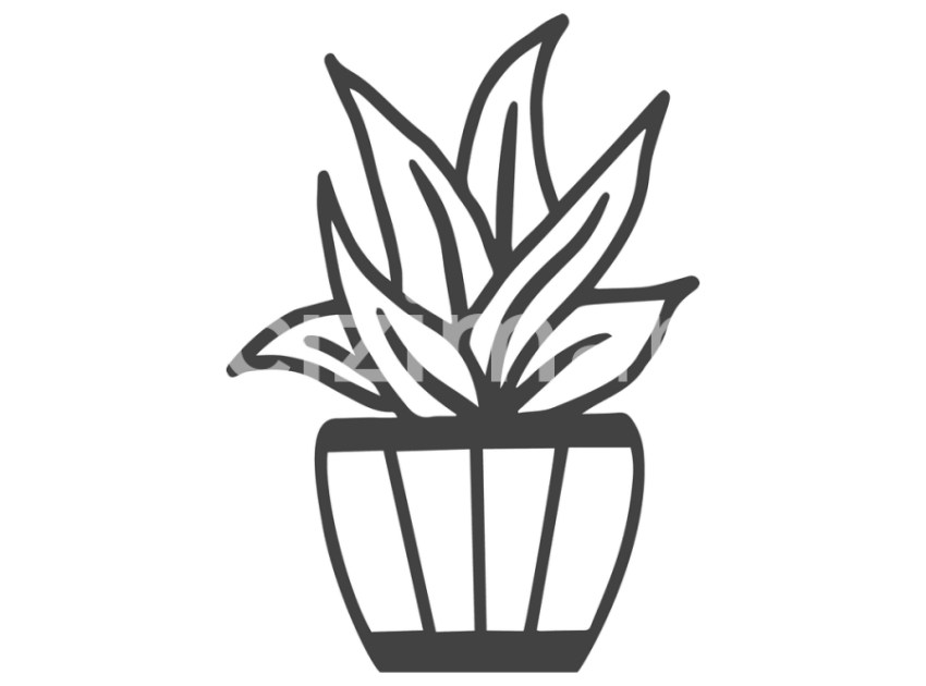 cicek-ve-kaktusler-(18)