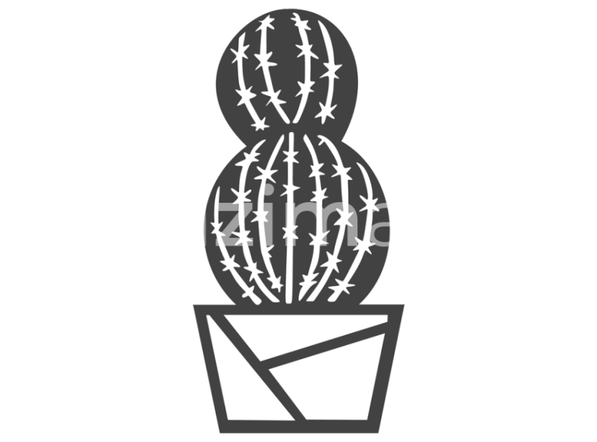 cicek-ve-kaktusler-(21)