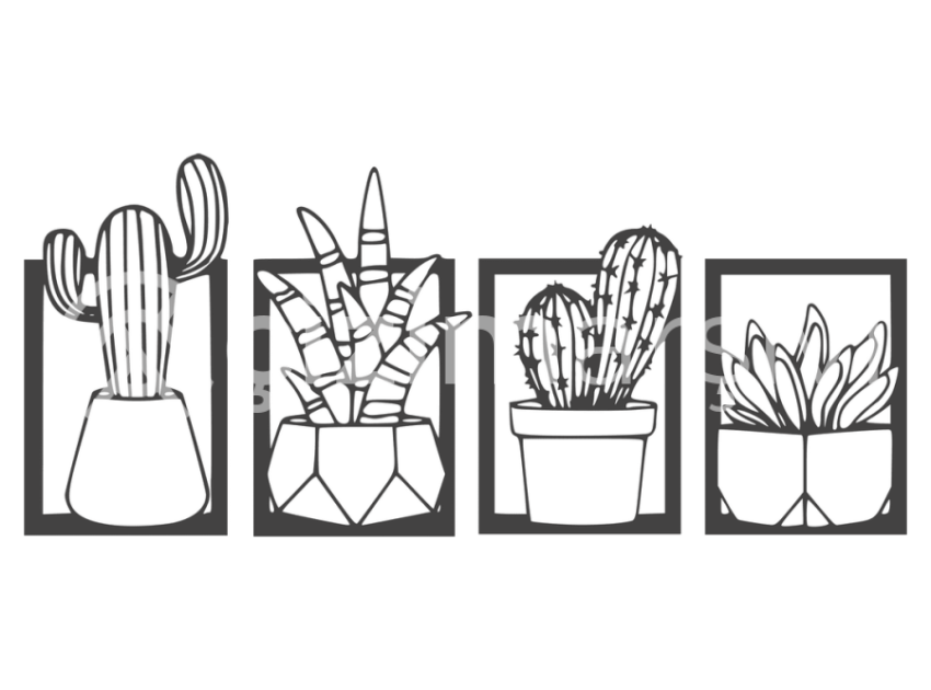 cicek-ve-kaktusler-(24)