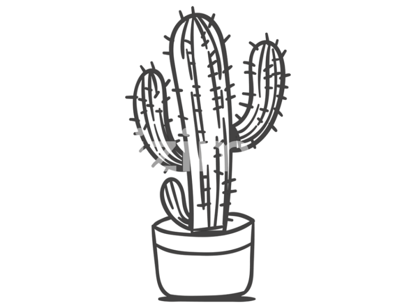 cicek-ve-kaktusler-(3)