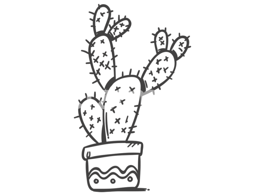 cicek-ve-kaktusler-(4)