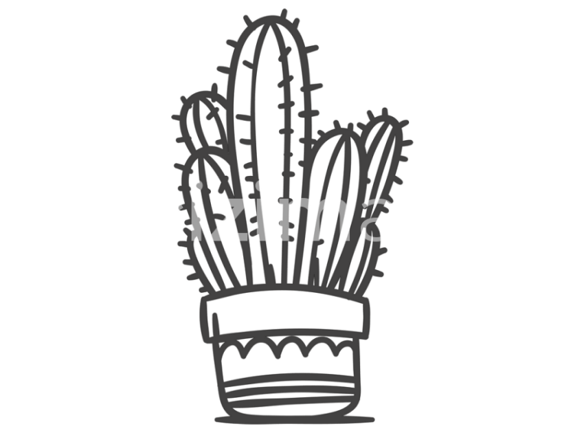 cicek-ve-kaktusler-(5)