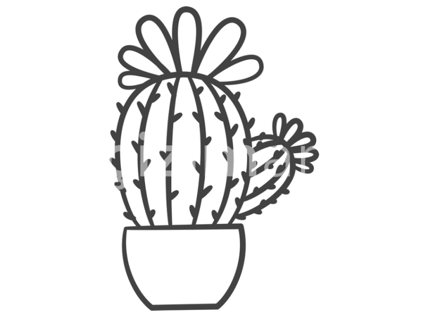 cicek-ve-kaktusler-(6)