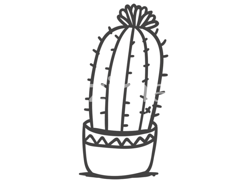 cicek-ve-kaktusler-(7)