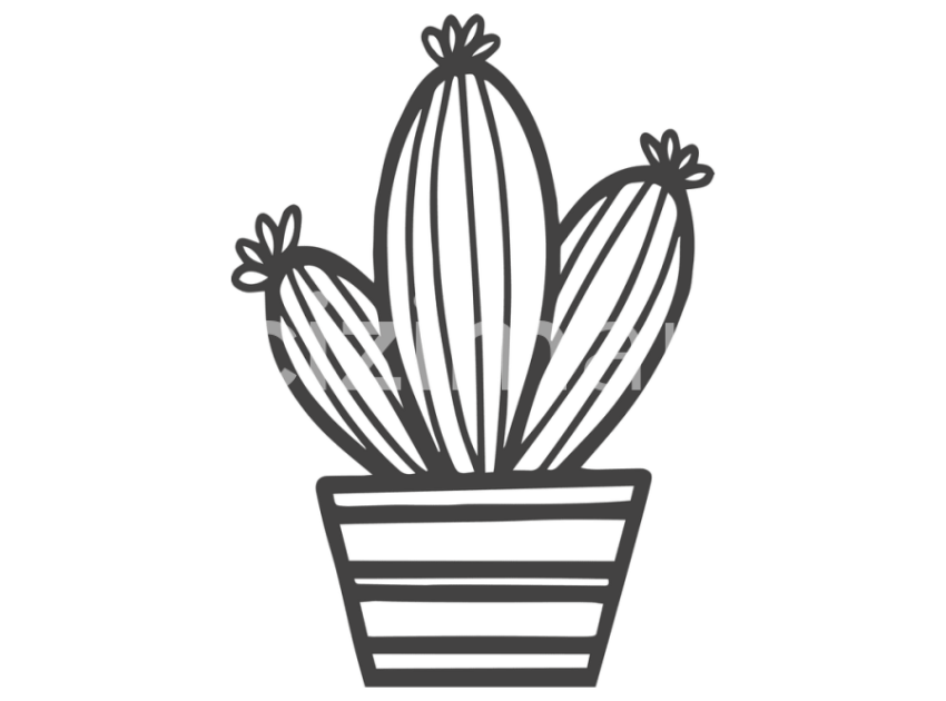 cicek-ve-kaktusler-(9)