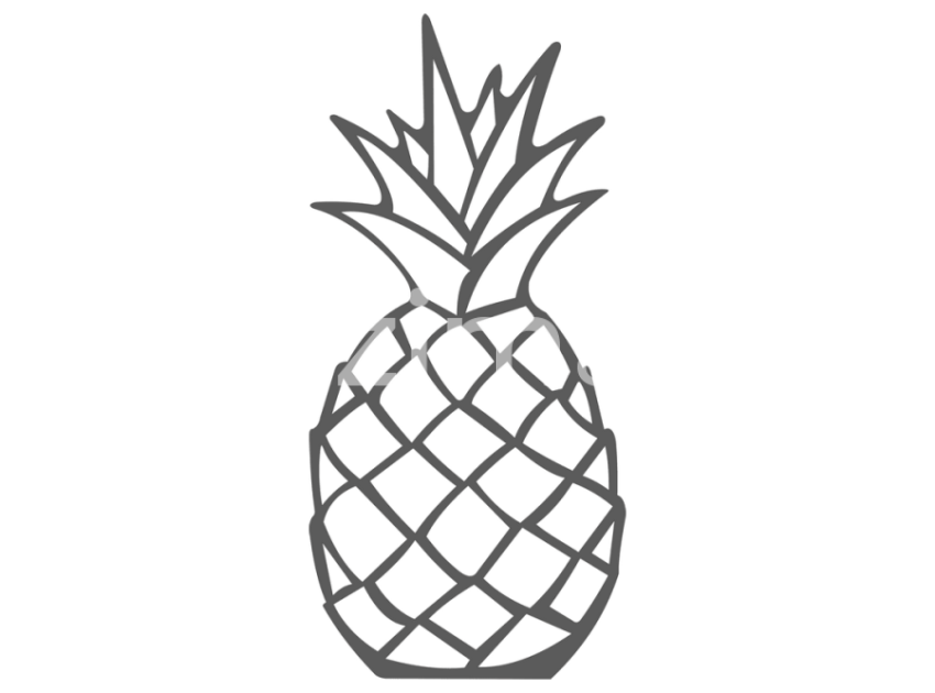 133-Ananas