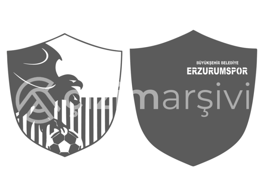 152-Erzurum-Spor
