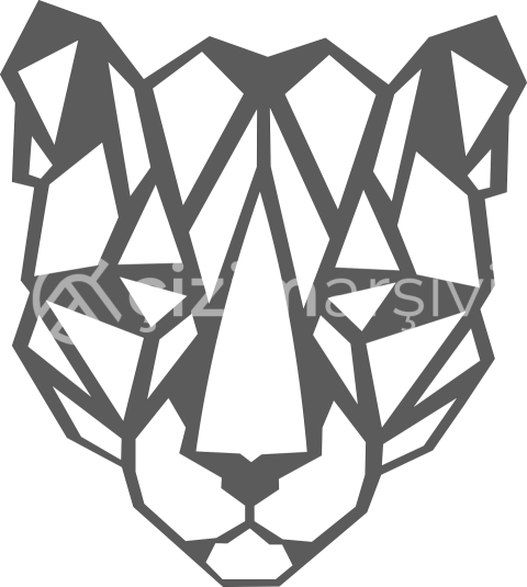 Geometrik Puma