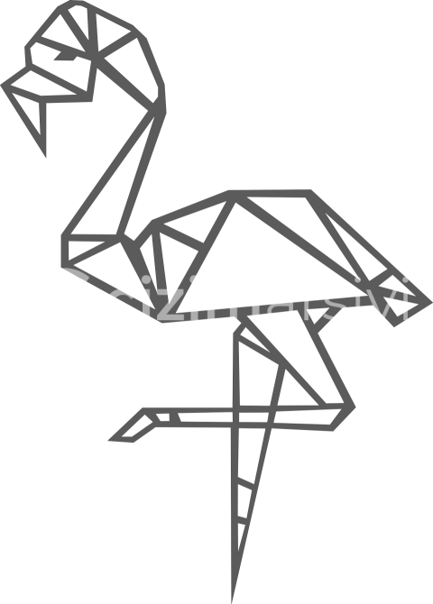Geometrik Flamingo